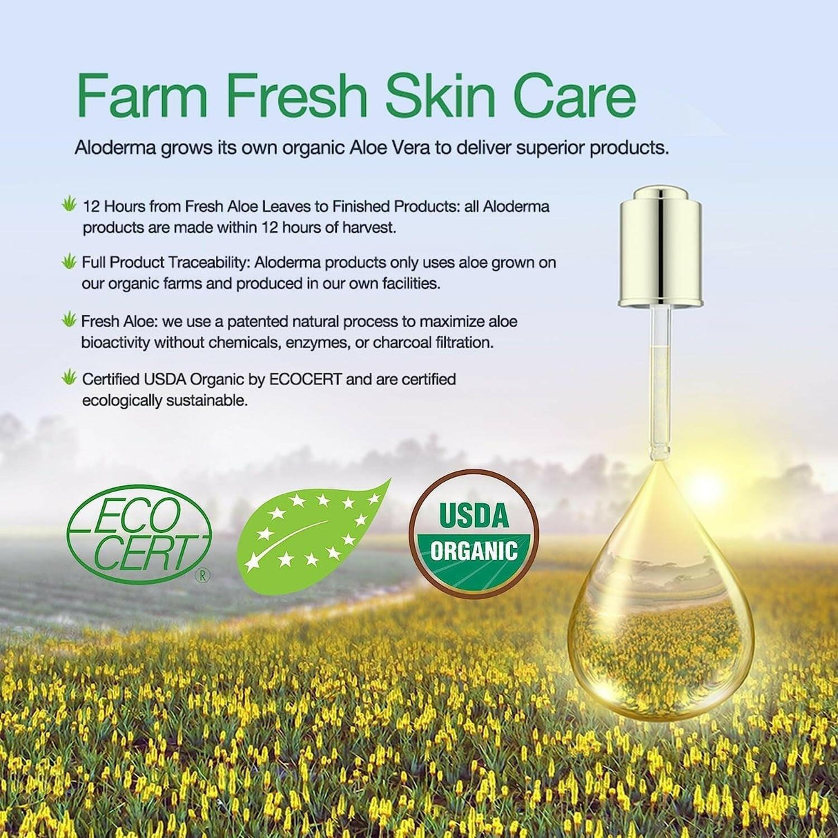 Aloderma 99% Organic Aloe Vera Gel Made within 12 Hours of Harvest - Lightweight, Non-Sticky Aloe Gel for Face and Body, Sunburn Relief, Natural, Soothing Hydrating Aloe Vera for Scalp & Hair, 10.6Oz - Supply Center USA