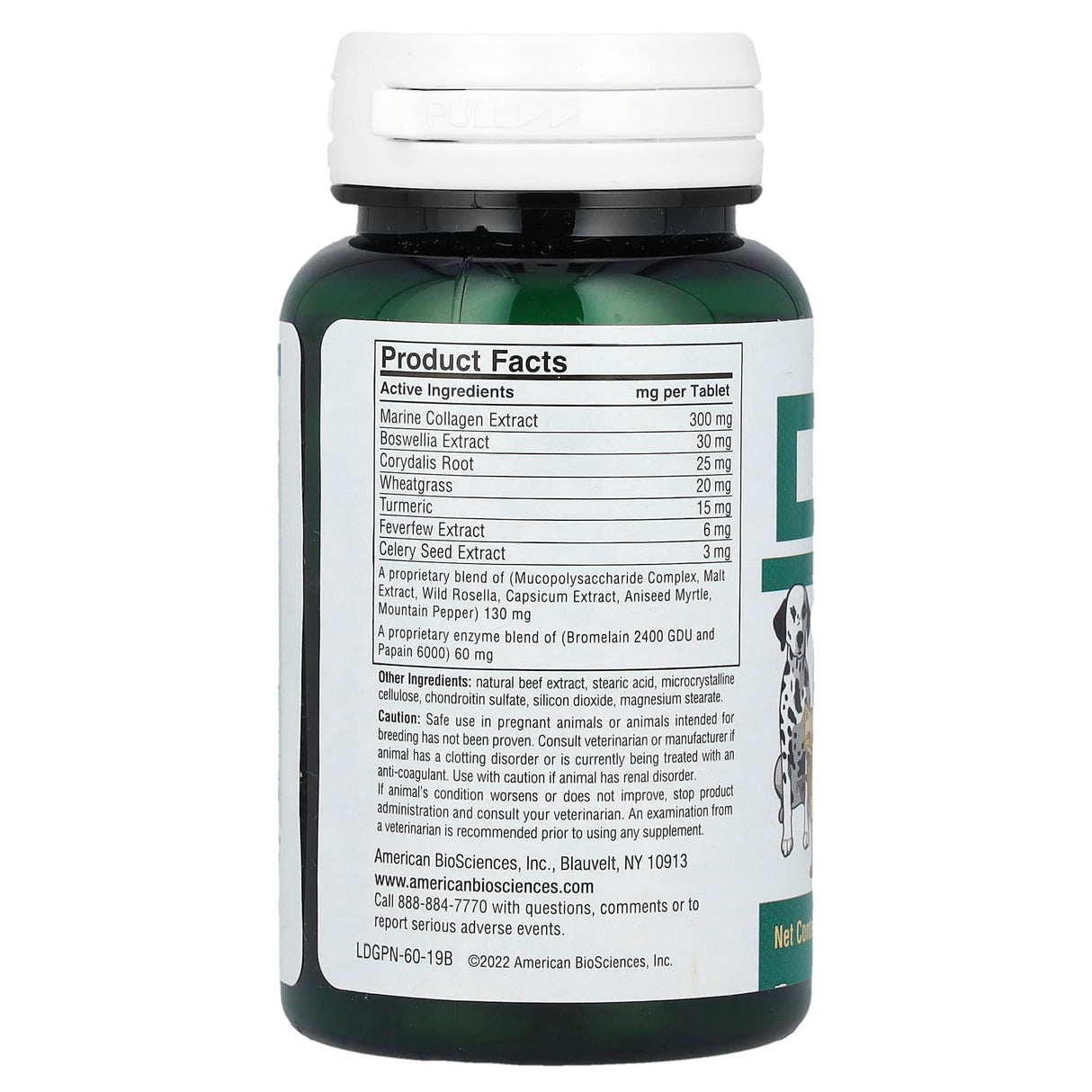 American Biosciences, DGP®, 60 Fast Acting Chewable Tablets - Supply Center USA