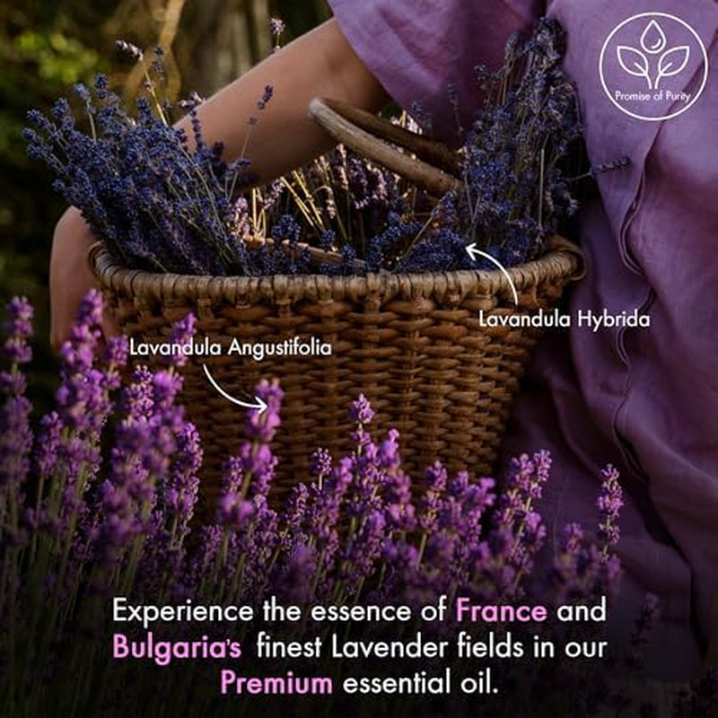 Majestic Pure Lavender Essential Oil with Glass Dropper | 100% Pure and Natural Lavender Oil | Premium Grade Essential Oils for Diffusers, Skin, Aromatherapy, Massage | 4 Fl Oz