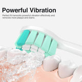 Replacement Toothbrush Heads for Philips Sonicare Replacement Heads C2, Electric Replacement Brush Head Compatible with Phillips Sonicare Toothbrush C2,C1,For Philips Sonic Care Brush,10 Pack