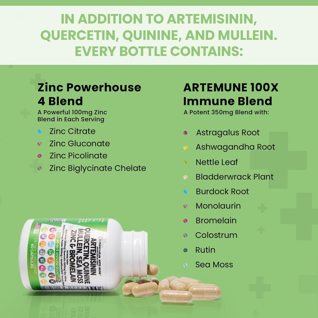 Clean Nutraceuticals Artemisinin 2500Mg Quercetin 1000Mg Zinc 100Mg Mullein Quinine Supplement with Sea Moss Bromelain Ashwagandha Root Nettle Leaf Bladderwrack Burdock Root Monolaurin Colostrum Rutin - Supply Center USA