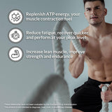 Naked Pure Micronized Creatine Monohydrate - 100 Servings - 500 Grams, 1.1Lb Bulk, Vegan, Non-Gmo, Gluten Free, Soy Free. Aid Strength Gains, No Artificial Ingredients Creatine