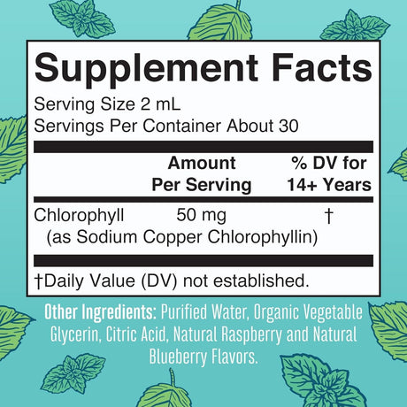 Maryruth'S Chlorophyll Liquid Drops | Clean Label Project Certified® | Vegan | Non-Diluted Liquid Chlorophyll| Mulberry Derived Supplement for Ages 14+ | Non-Gmo | Delicious Minty Flavor | 2 Fl Oz - Supply Center USA