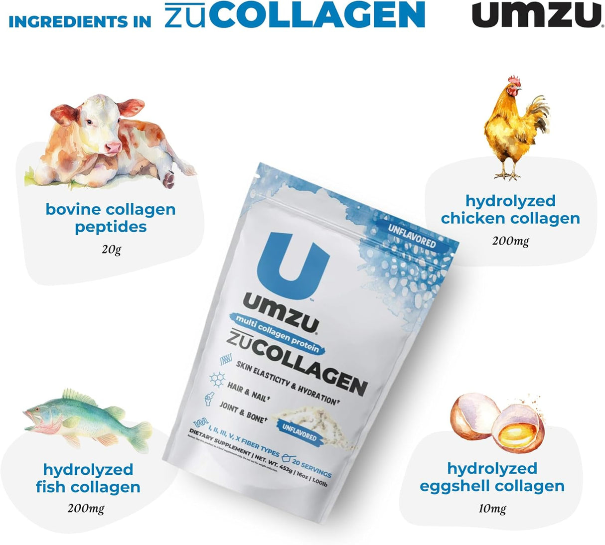 UMZU Zucollagen Hydrolyzed Protein Powder | 5 Collagen Peptide Types for Healthy Hair, Skin, Nails, Joints & Gut | Low Calorie, High Protein (20G Protein per Serving | Unflavored)