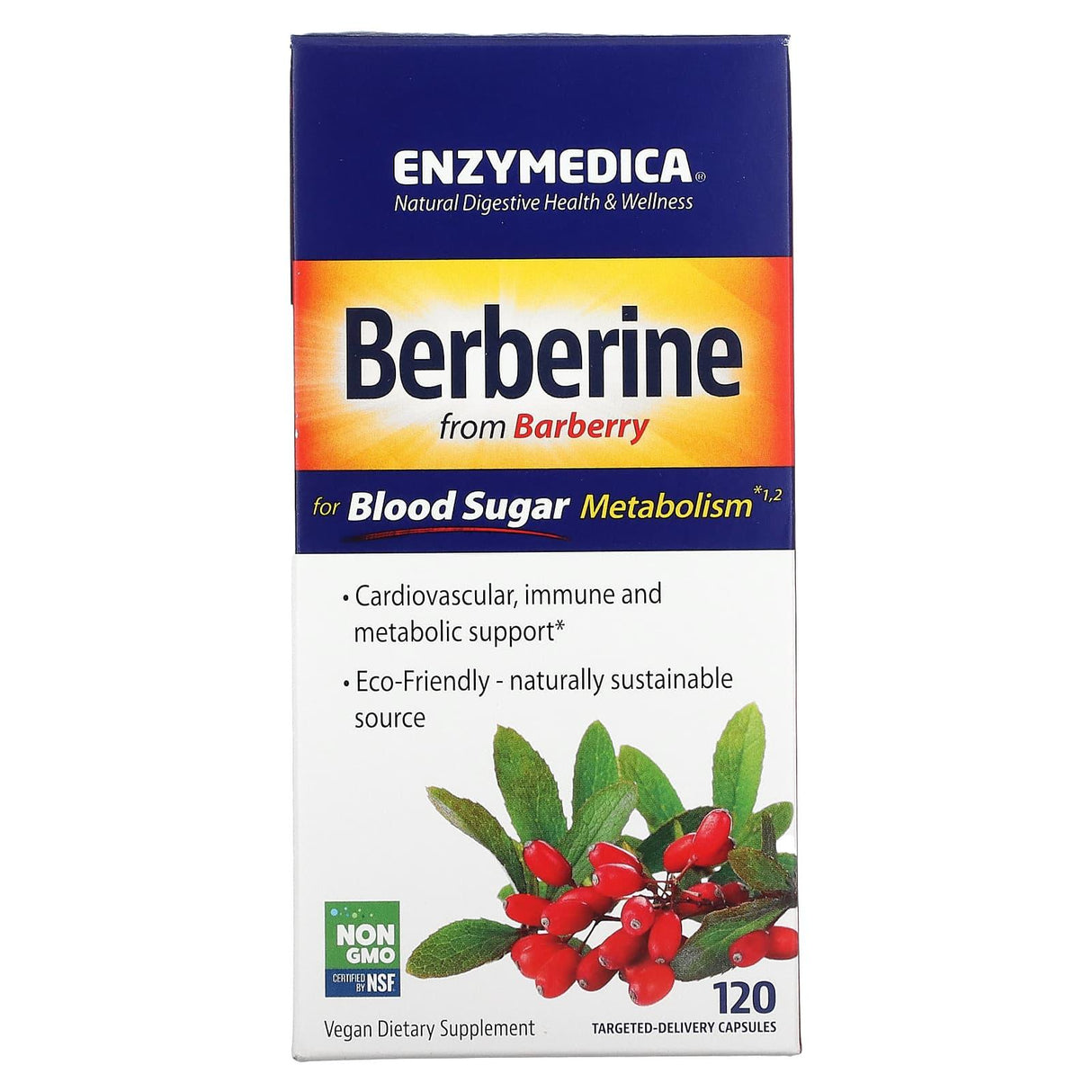 Enzymedica, Berberine, 120 Targeted-Delivery Capsules - Supply Center USA