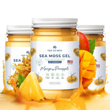 Trueseamoss Wildcrafted Irish Sea Moss Gel –7 Flavors- Nutritious Raw Seamoss Rich in Minerals, Proteins & Vitamins – Antioxidant Health Sea Moss, Vegan Made in USA (MANGO/PINEAPPLE, 1)
