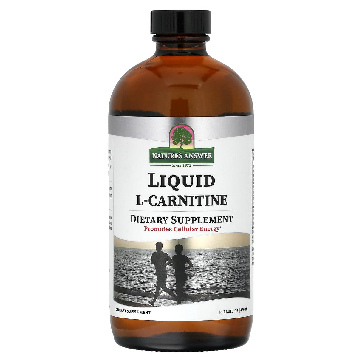 Nature's Answer, Liquid L-Carnitine, 16 fl oz (480 ml) - Supply Center USA