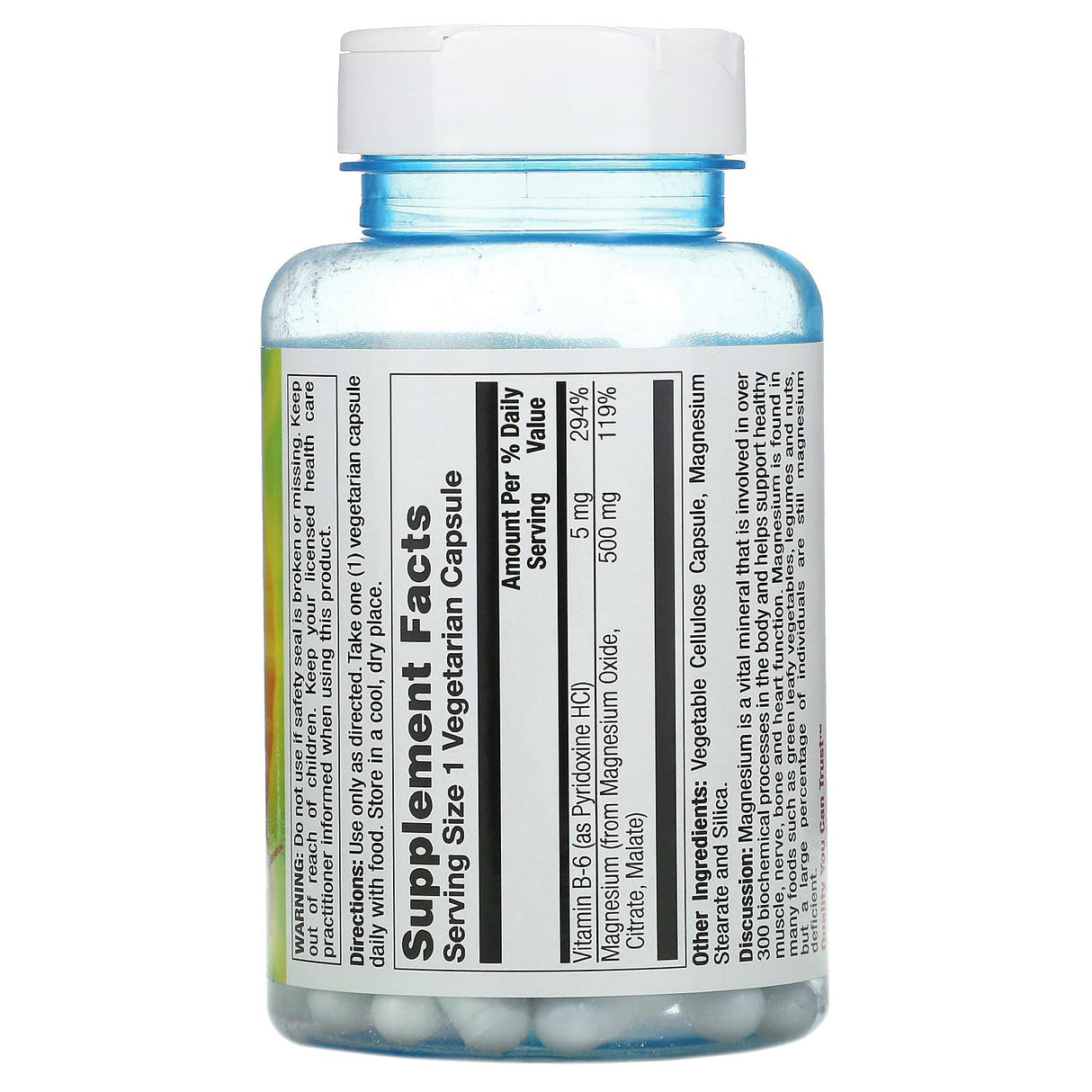 Nature's Life, Magnesium, 500 mg, 100 Vegetarian Capsules - Supply Center USA