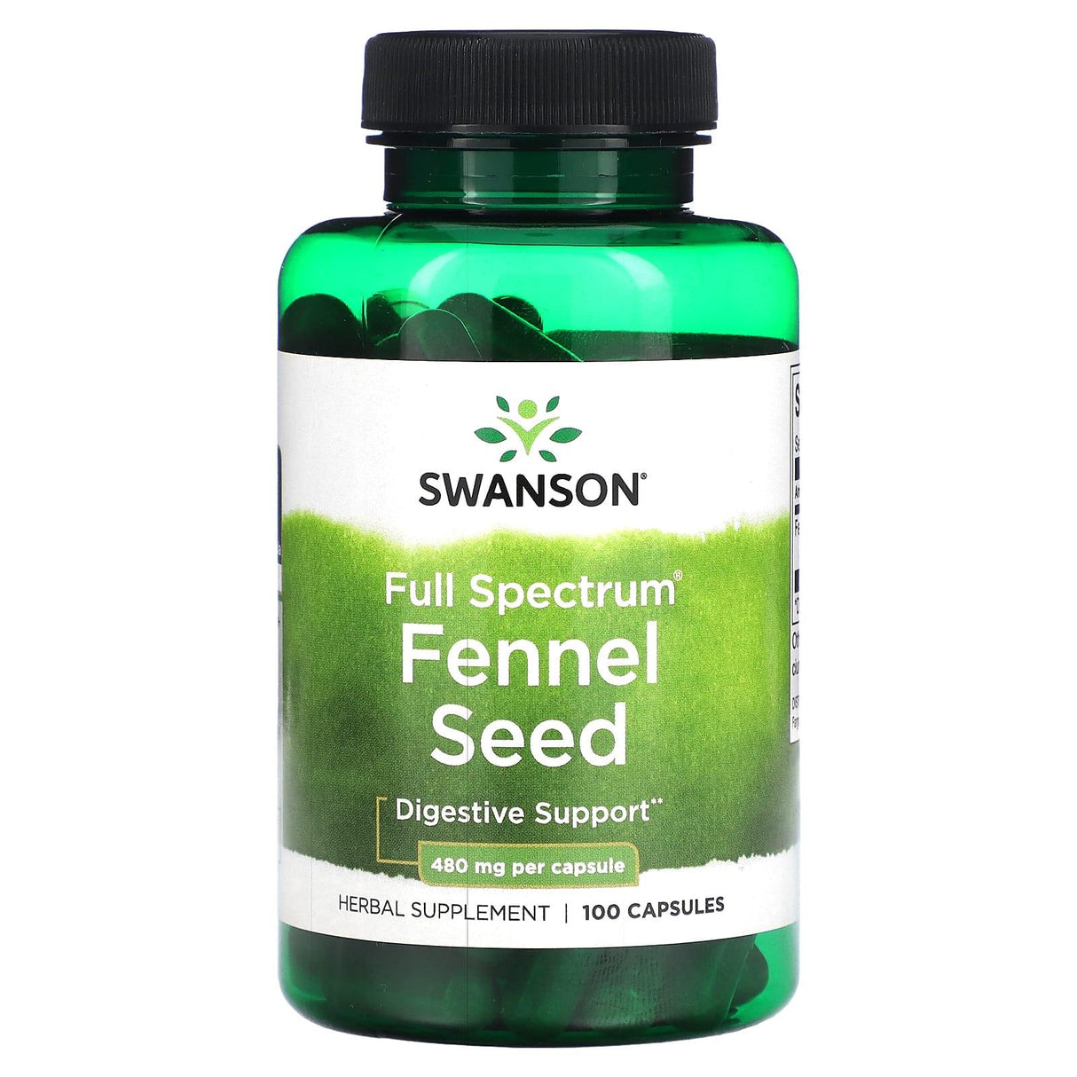 Swanson, Full Spectrum Fennel Seed, 480 mg, 100 Capsules - Supply Center USA
