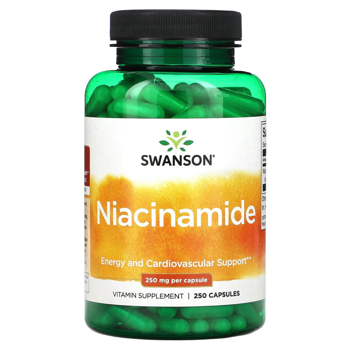 Swanson, Niacinamide, 250 mg, 250 Capsules - Supply Center USA