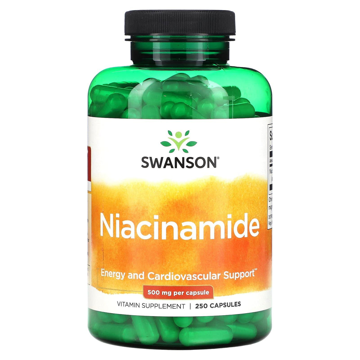 Swanson, Niacinamide, 250 mg, 250 Capsules - Supply Center USA