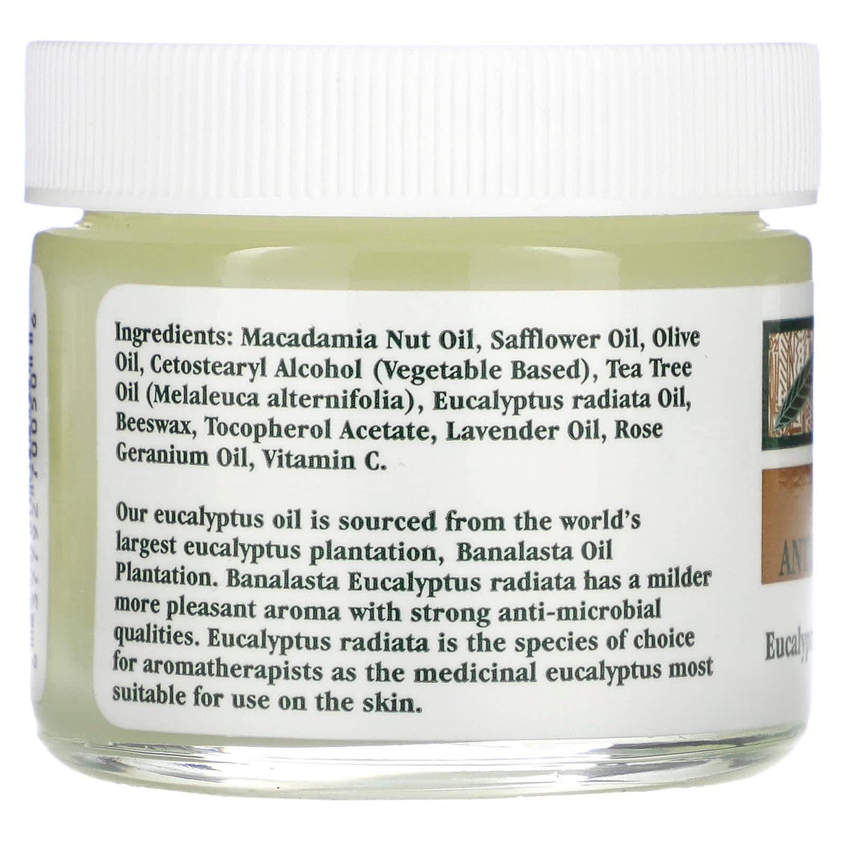 Tea Tree Therapy, Tea Tree Antiseptic Ointment, 2 oz (57 g) - Supply Center USA